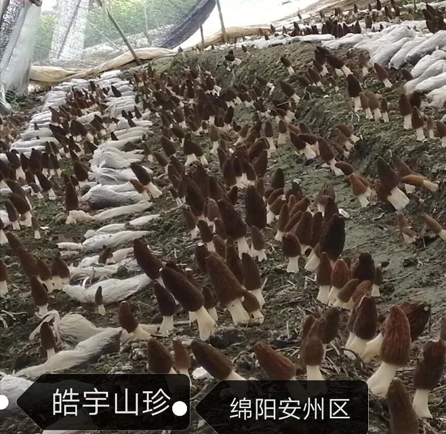 &#107;&#97;&#105;&#121;&#117;&#110;&#20307;&#32946;&#23448;&#26041;&#32593;&#31449;&#20840;&#31449;&#20837;&#21475;&#40;&#107;&#97;&#105;&#121;&#117;&#110;&#41;&#40;&#20013;&#22269;&#41;&#23448;&#32593;&#20837;&#21475;&#30331;&#24405;