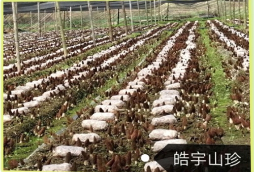 &#107;&#97;&#105;&#121;&#117;&#110;&#20307;&#32946;&#23448;&#26041;&#32593;&#31449;&#20840;&#31449;&#20837;&#21475;&#40;&#107;&#97;&#105;&#121;&#117;&#110;&#41;&#40;&#20013;&#22269;&#41;&#23448;&#32593;&#20837;&#21475;&#30331;&#24405;