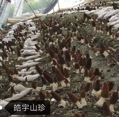 &#107;&#97;&#105;&#121;&#117;&#110;&#20307;&#32946;&#23448;&#26041;&#32593;&#31449;&#20840;&#31449;&#20837;&#21475;&#40;&#107;&#97;&#105;&#121;&#117;&#110;&#41;&#40;&#20013;&#22269;&#41;&#23448;&#32593;&#20837;&#21475;&#30331;&#24405;