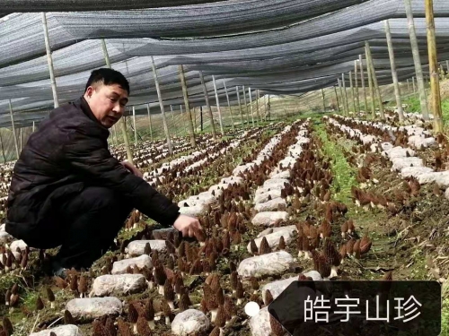 &#107;&#97;&#105;&#121;&#117;&#110;&#20307;&#32946;&#23448;&#26041;&#32593;&#31449;&#20840;&#31449;&#20837;&#21475;&#40;&#107;&#97;&#105;&#121;&#117;&#110;&#41;&#40;&#20013;&#22269;&#41;&#23448;&#32593;&#20837;&#21475;&#30331;&#24405;