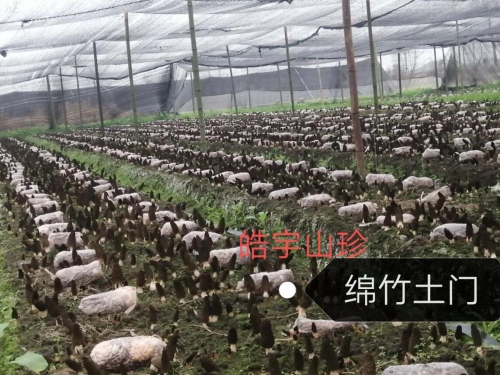 &#107;&#97;&#105;&#121;&#117;&#110;&#20307;&#32946;&#23448;&#26041;&#32593;&#31449;&#20840;&#31449;&#20837;&#21475;&#40;&#107;&#97;&#105;&#121;&#117;&#110;&#41;&#40;&#20013;&#22269;&#41;&#23448;&#32593;&#20837;&#21475;&#30331;&#24405;