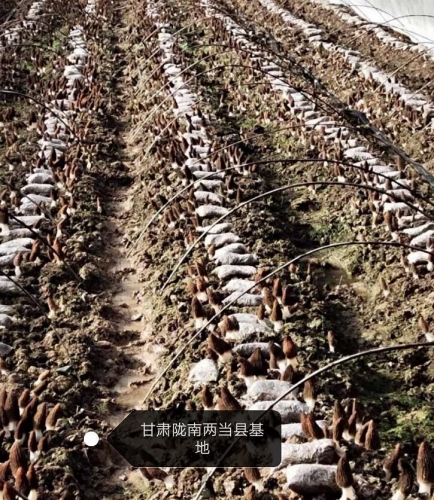 &#107;&#97;&#105;&#121;&#117;&#110;&#20307;&#32946;&#23448;&#26041;&#32593;&#31449;&#20840;&#31449;&#20837;&#21475;&#40;&#107;&#97;&#105;&#121;&#117;&#110;&#41;&#40;&#20013;&#22269;&#41;&#23448;&#32593;&#20837;&#21475;&#30331;&#24405;