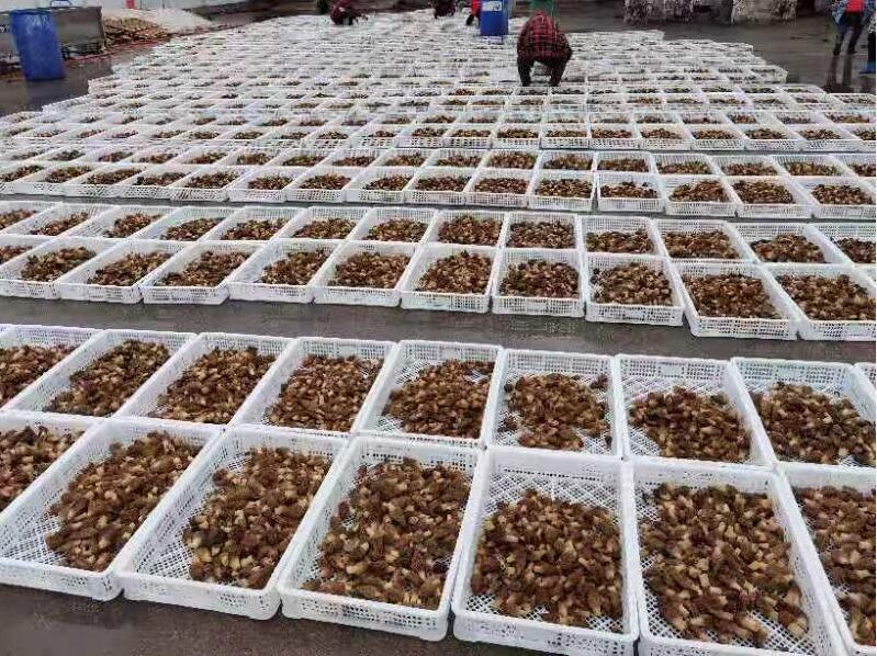 &#107;&#97;&#105;&#121;&#117;&#110;&#20307;&#32946;&#23448;&#26041;&#32593;&#31449;&#20840;&#31449;&#20837;&#21475;&#40;&#107;&#97;&#105;&#121;&#117;&#110;&#41;&#40;&#20013;&#22269;&#41;&#23448;&#32593;&#20837;&#21475;&#30331;&#24405;