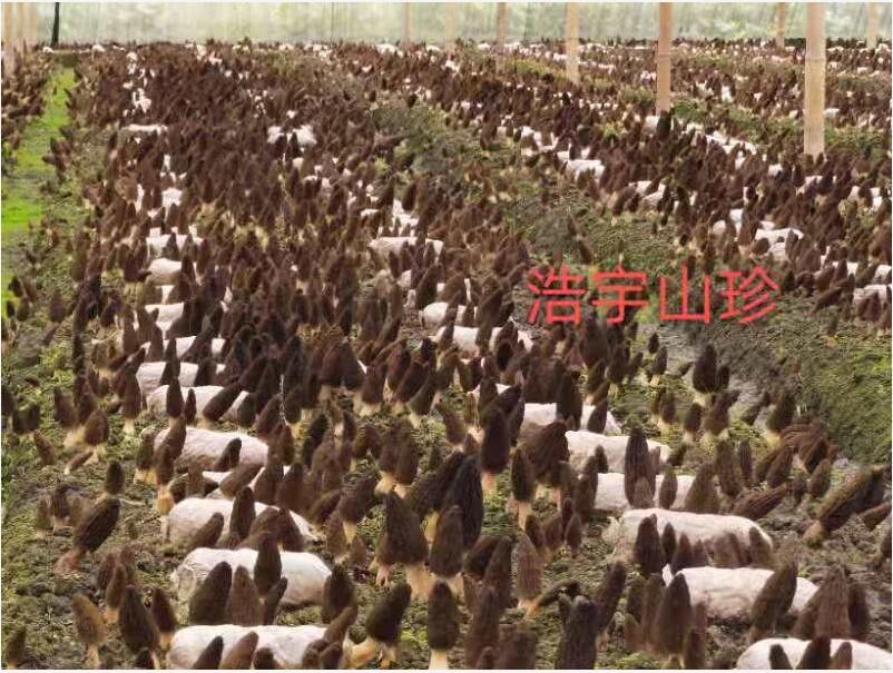 &#107;&#97;&#105;&#121;&#117;&#110;&#20307;&#32946;&#23448;&#26041;&#32593;&#31449;&#20840;&#31449;&#20837;&#21475;&#40;&#107;&#97;&#105;&#121;&#117;&#110;&#41;&#40;&#20013;&#22269;&#41;&#23448;&#32593;&#20837;&#21475;&#30331;&#24405;