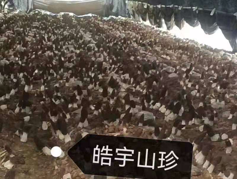 &#107;&#97;&#105;&#121;&#117;&#110;&#20307;&#32946;&#23448;&#26041;&#32593;&#31449;&#20840;&#31449;&#20837;&#21475;&#40;&#107;&#97;&#105;&#121;&#117;&#110;&#41;&#40;&#20013;&#22269;&#41;&#23448;&#32593;&#20837;&#21475;&#30331;&#24405;