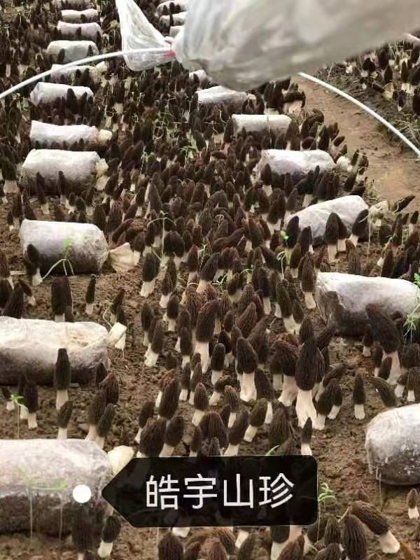 &#107;&#97;&#105;&#121;&#117;&#110;&#20307;&#32946;&#23448;&#26041;&#32593;&#31449;&#20840;&#31449;&#20837;&#21475;&#40;&#107;&#97;&#105;&#121;&#117;&#110;&#41;&#40;&#20013;&#22269;&#41;&#23448;&#32593;&#20837;&#21475;&#30331;&#24405;