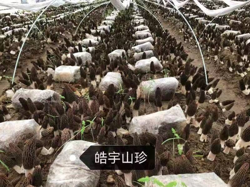 &#107;&#97;&#105;&#121;&#117;&#110;&#20307;&#32946;&#23448;&#26041;&#32593;&#31449;&#20840;&#31449;&#20837;&#21475;&#40;&#107;&#97;&#105;&#121;&#117;&#110;&#41;&#40;&#20013;&#22269;&#41;&#23448;&#32593;&#20837;&#21475;&#30331;&#24405;