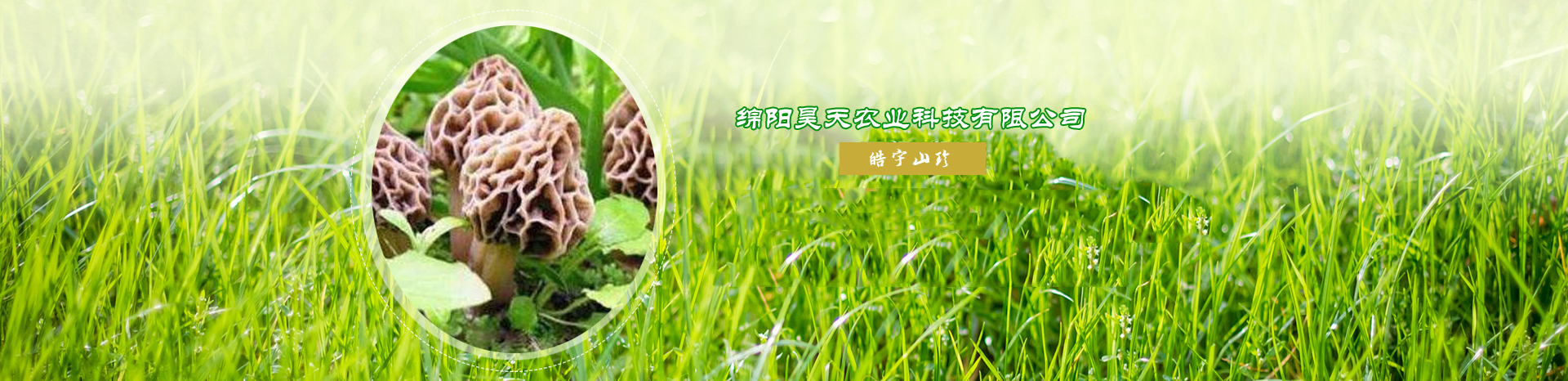 &#107;&#97;&#105;&#121;&#117;&#110;&#20307;&#32946;&#23448;&#26041;&#32593;&#31449;&#20840;&#31449;&#20837;&#21475;&#40;&#107;&#97;&#105;&#121;&#117;&#110;&#41;&#40;&#20013;&#22269;&#41;&#23448;&#32593;&#20837;&#21475;&#30331;&#24405;