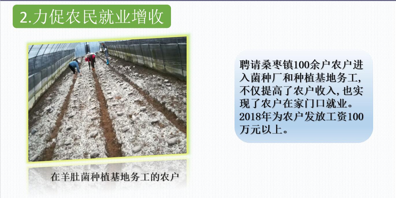 &#107;&#97;&#105;&#121;&#117;&#110;&#20307;&#32946;&#23448;&#26041;&#32593;&#31449;&#20840;&#31449;&#20837;&#21475;&#40;&#107;&#97;&#105;&#121;&#117;&#110;&#41;&#40;&#20013;&#22269;&#41;&#23448;&#32593;&#20837;&#21475;&#30331;&#24405;