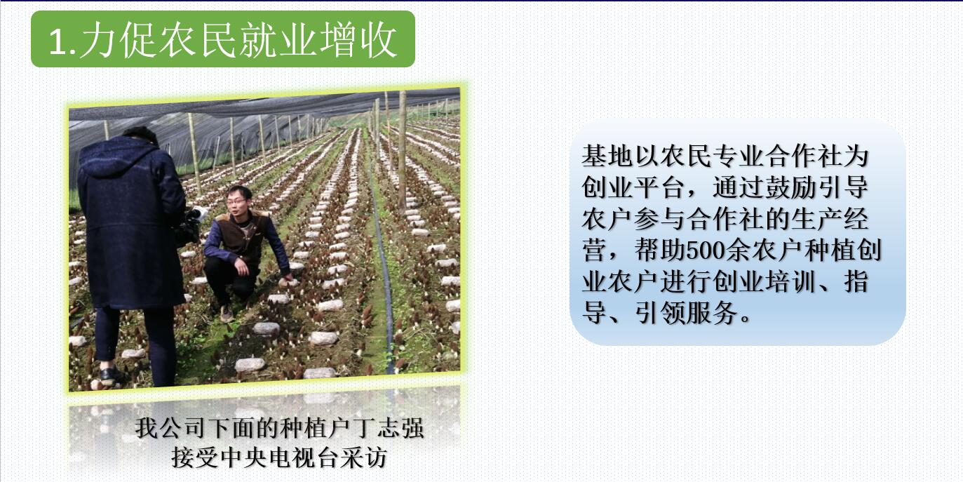 &#107;&#97;&#105;&#121;&#117;&#110;&#20307;&#32946;&#23448;&#26041;&#32593;&#31449;&#20840;&#31449;&#20837;&#21475;&#40;&#107;&#97;&#105;&#121;&#117;&#110;&#41;&#40;&#20013;&#22269;&#41;&#23448;&#32593;&#20837;&#21475;&#30331;&#24405;