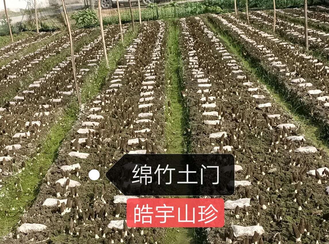 &#107;&#97;&#105;&#121;&#117;&#110;&#20307;&#32946;&#23448;&#26041;&#32593;&#31449;&#20840;&#31449;&#20837;&#21475;&#40;&#107;&#97;&#105;&#121;&#117;&#110;&#41;&#40;&#20013;&#22269;&#41;&#23448;&#32593;&#20837;&#21475;&#30331;&#24405;