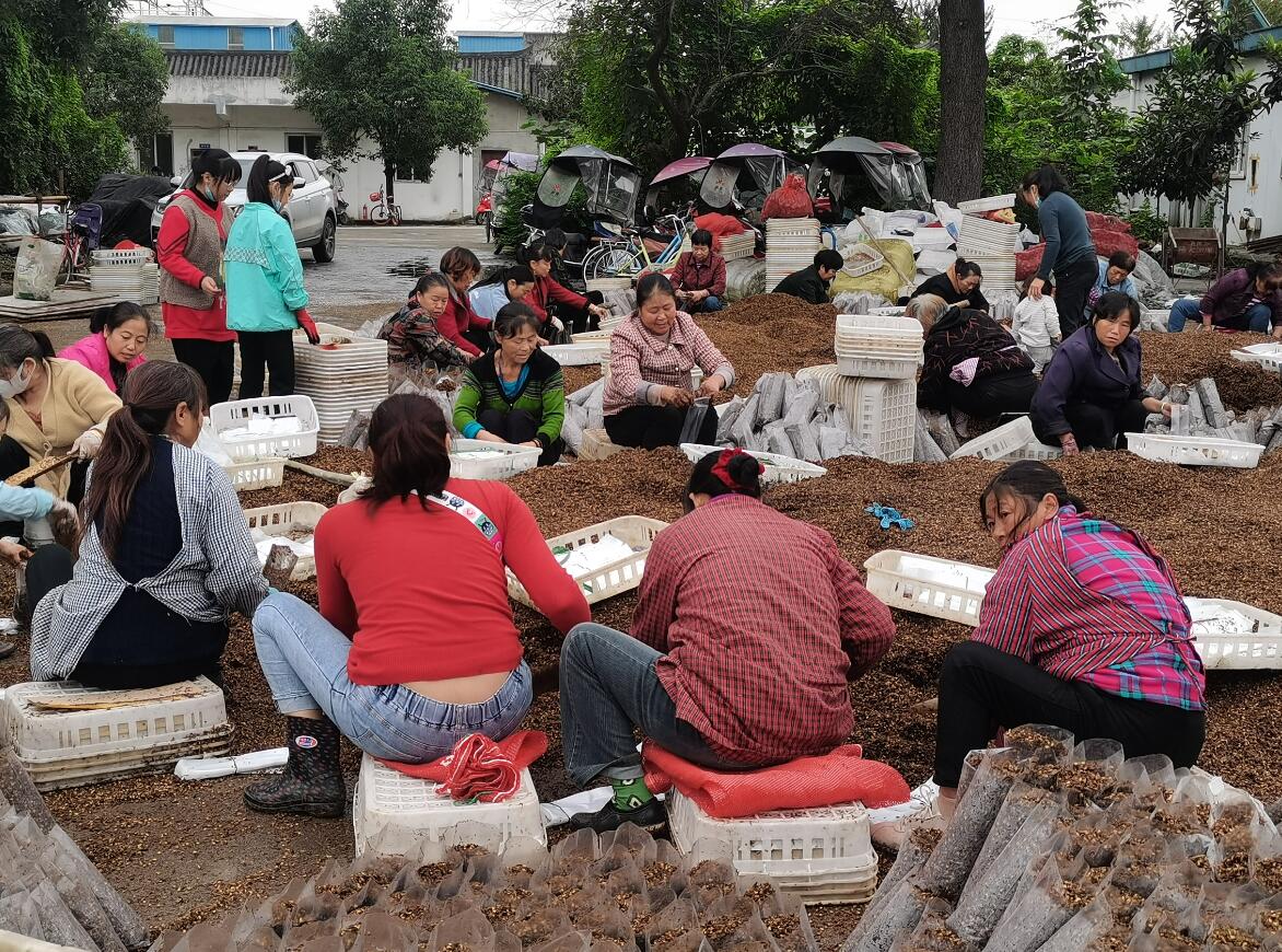 &#107;&#97;&#105;&#121;&#117;&#110;&#20307;&#32946;&#23448;&#26041;&#32593;&#31449;&#20840;&#31449;&#20837;&#21475;&#40;&#107;&#97;&#105;&#121;&#117;&#110;&#41;&#40;&#20013;&#22269;&#41;&#23448;&#32593;&#20837;&#21475;&#30331;&#24405;