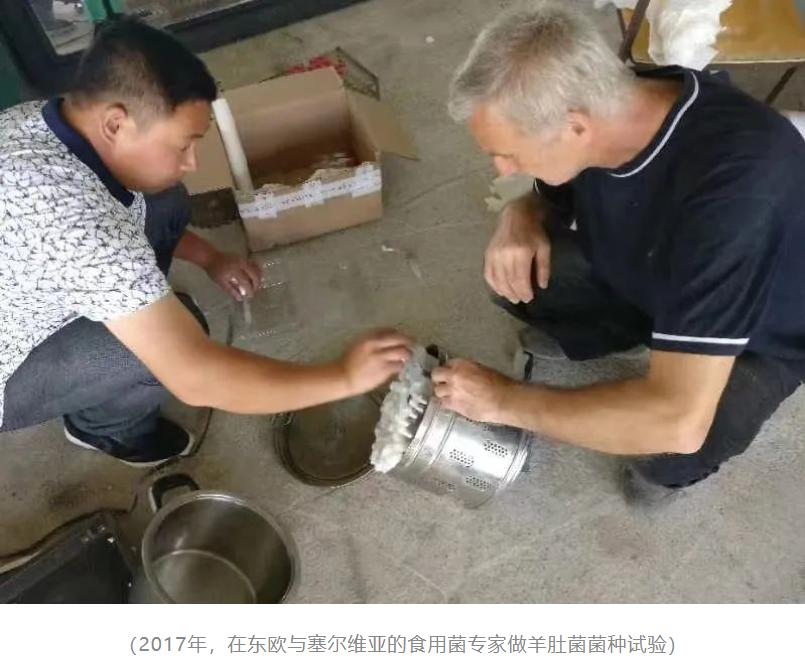 &#107;&#97;&#105;&#121;&#117;&#110;&#20307;&#32946;&#23448;&#26041;&#32593;&#31449;&#20840;&#31449;&#20837;&#21475;&#40;&#107;&#97;&#105;&#121;&#117;&#110;&#41;&#40;&#20013;&#22269;&#41;&#23448;&#32593;&#20837;&#21475;&#30331;&#24405;