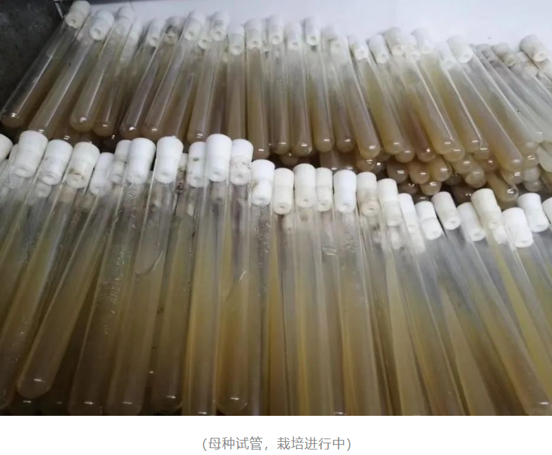 &#107;&#97;&#105;&#121;&#117;&#110;&#20307;&#32946;&#23448;&#26041;&#32593;&#31449;&#20840;&#31449;&#20837;&#21475;&#40;&#107;&#97;&#105;&#121;&#117;&#110;&#41;&#40;&#20013;&#22269;&#41;&#23448;&#32593;&#20837;&#21475;&#30331;&#24405;